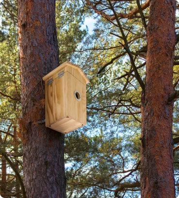 Budki lęgowe i karmniki