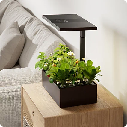 gadżety gospodarstwa domowego