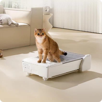 akcesoria dla zwierząt