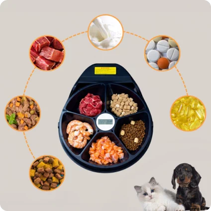 akcesoria dla zwierząt