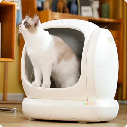 akcesoria dla zwierząt