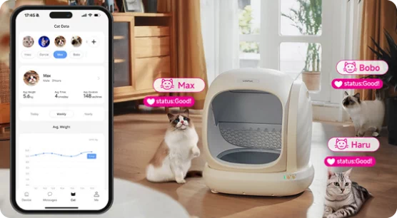 akcesoria dla zwierząt