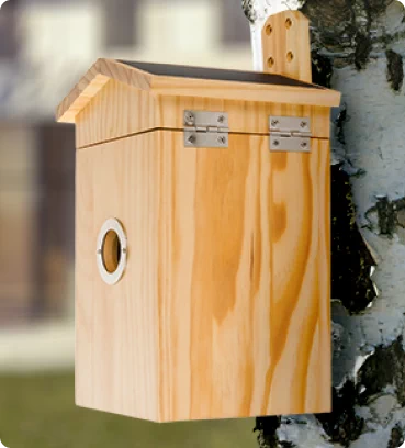 Karmniki dla ptaków z kamerą