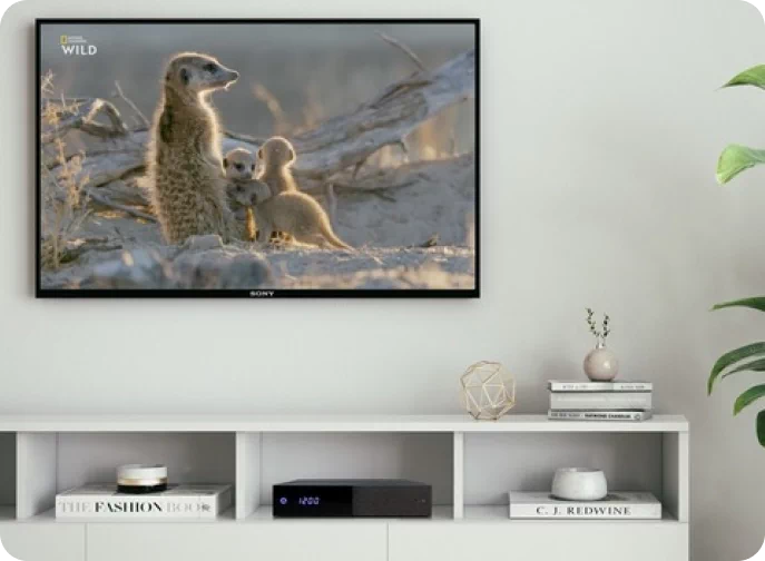 Tunery cyfrowe do odbioru TV