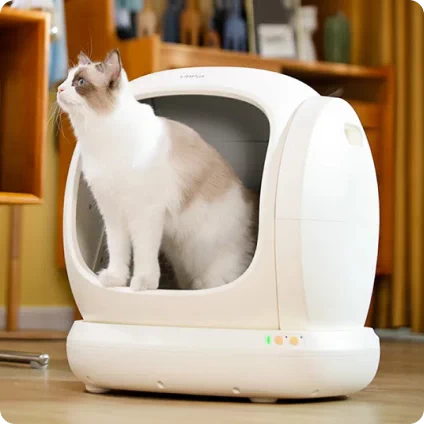 smart urządzenia dla zwierząt