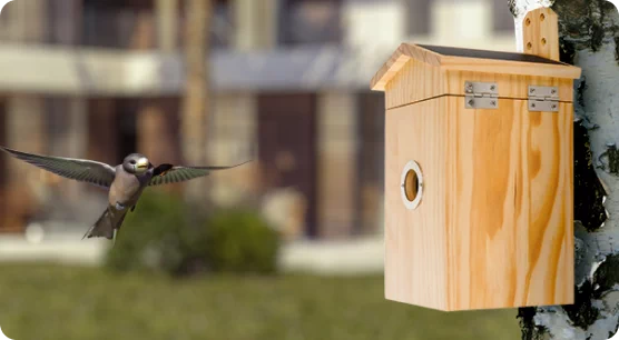 smart urządzenia dla zwierząt