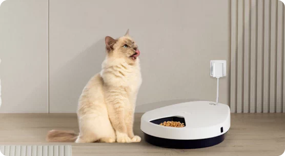 smart urządzenia dla zwierząt