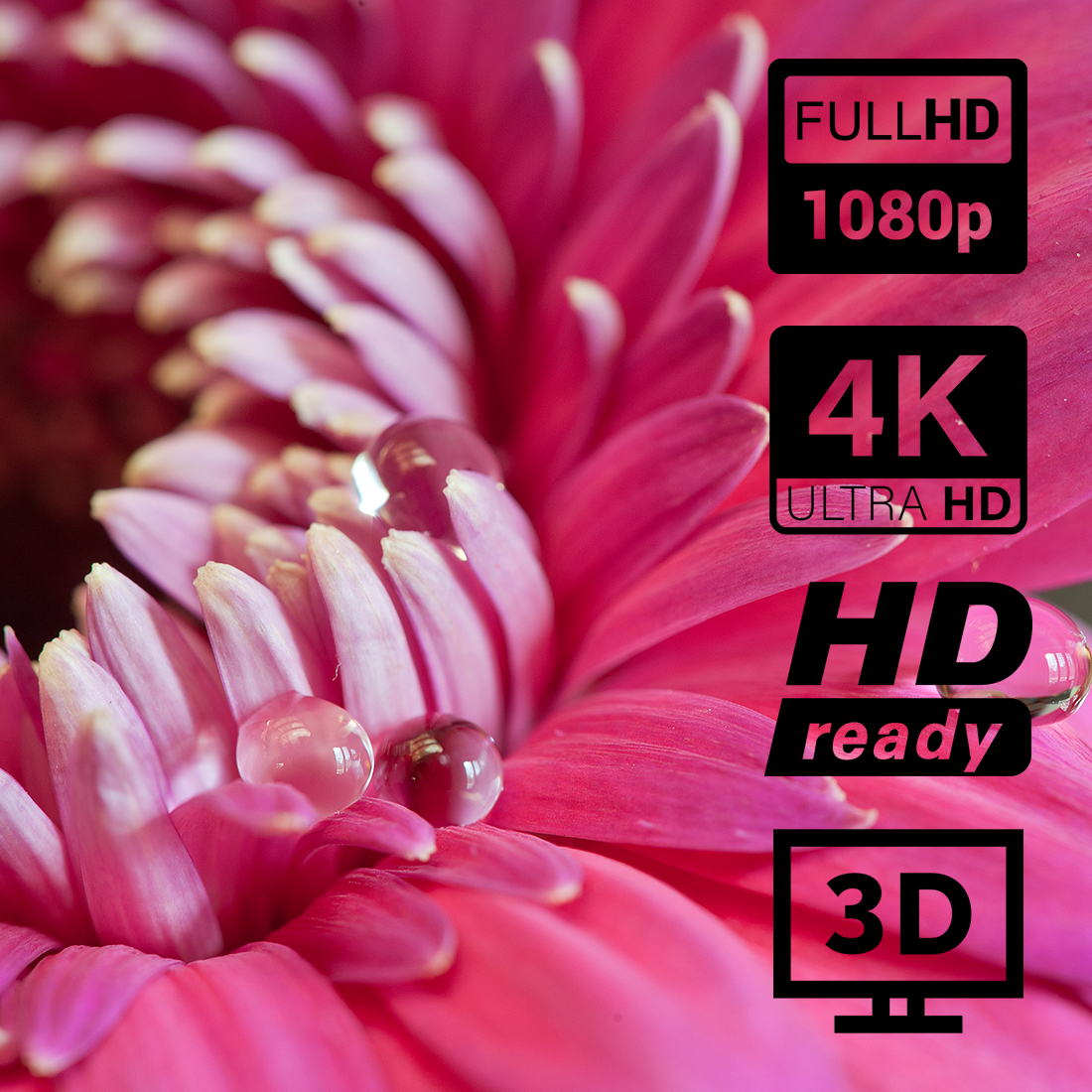 ekran projekcyjny 4K, ekran do 3D, wysoka rozdzielczość, gładka powierzchnia PVC, kontrast, szczegółowość, 100 cali, format 16:9, kino domowe premium, cienka ramka 10 mm