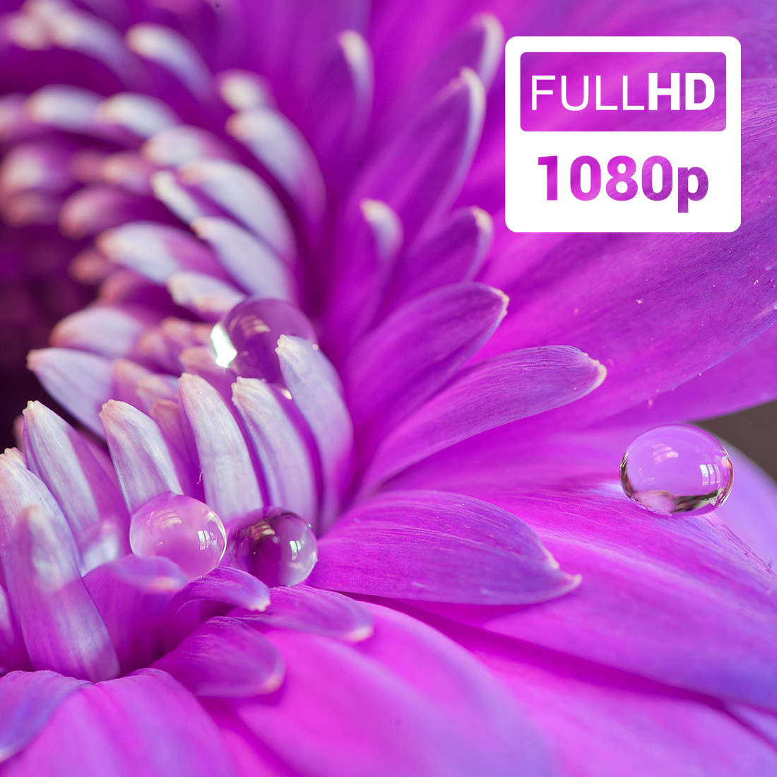 konwerter hdmi vga adapter hdmi vga audio hdmi to vga converter przejsciówka hdmi vga konwerter obrazu hdmi adapter do monitora vga hdmi vga full hd hdmi vga jack