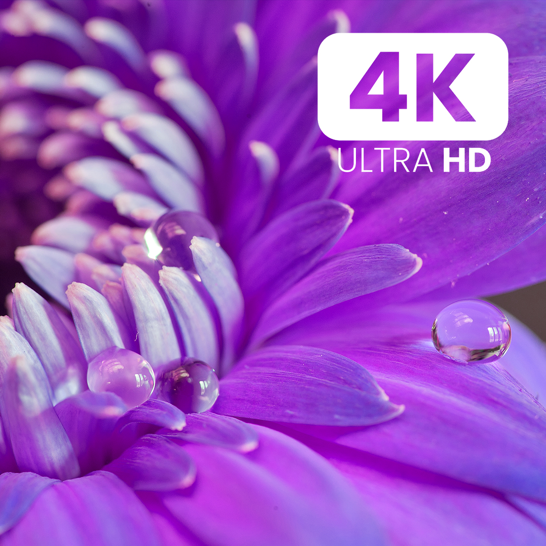 adapter 4k 60hz, konwerter ultra hd, obraz 4k converter, hdcp converter spacetronik, hdmi adapter hdcp, urządzenie 4k tv converter, hdcp problem fix, konwerter wysokiej rozdzielczości, akcesoria 4k