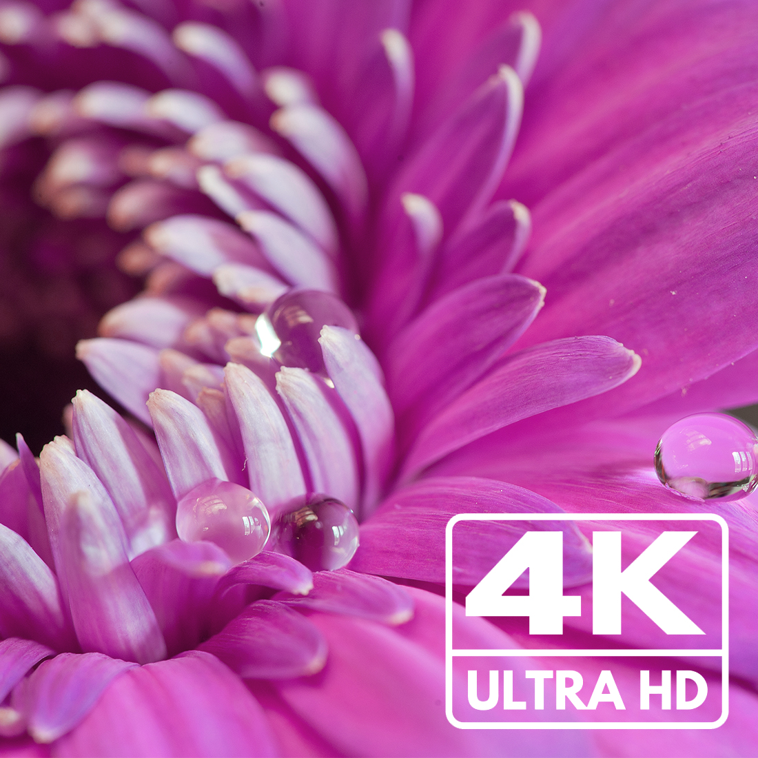 video wall controller, kontroler sciany wideo, spacetronik sph vw331, video wall 3x3, hdmi controller 4k, splitter hdmi 9 ekranow, kontroler projekcji 4k, kontroler do monitorow, kontroler 4k spacetronik, hdmi wall controller