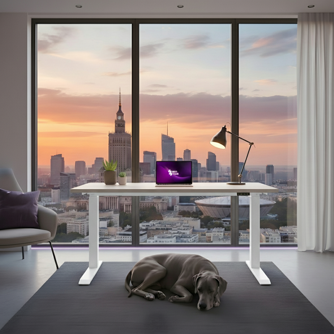 Najważniejsze cechy stelaża Spacetronik