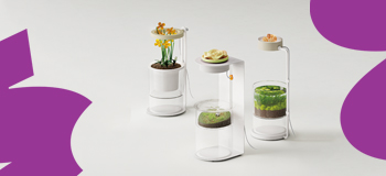 mini ogród do domu, lampka LED do roślin, zestaw do uprawy roślin w domu, system hydroponiczny LED, kompaktowy ogród domowy, uprawa sukulentów LED, lampa do ziół, domowa hodowla roślin