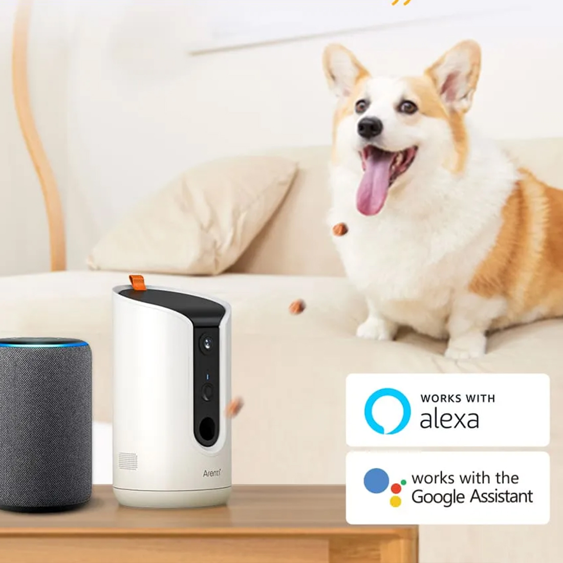 Arenti PetCam1T – kamera 2K UHD do monitorowania zwierząt w domu