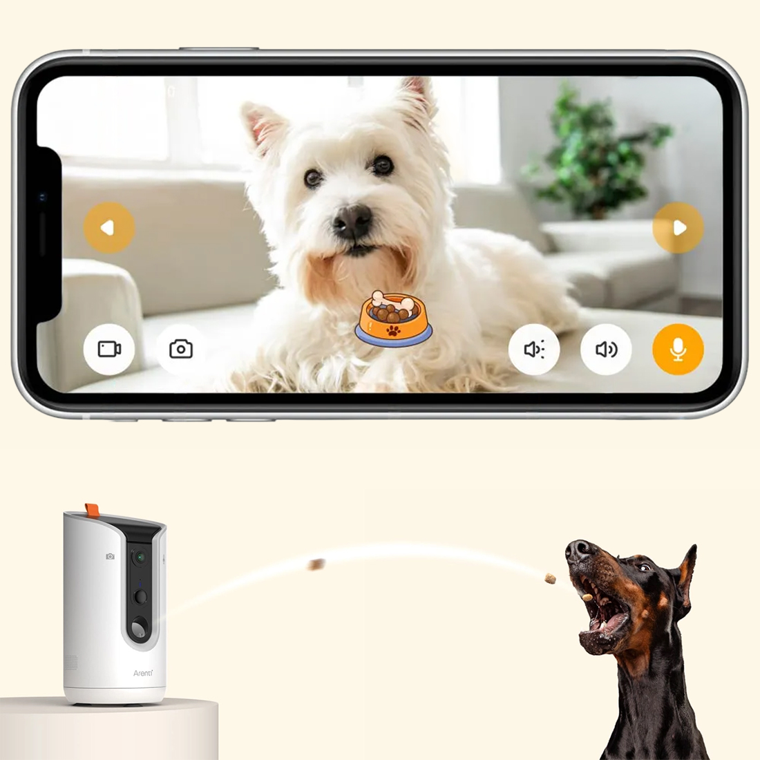 Arenti PetCam1T – podajnik smakołyków sterowany przez aplikację Arenti