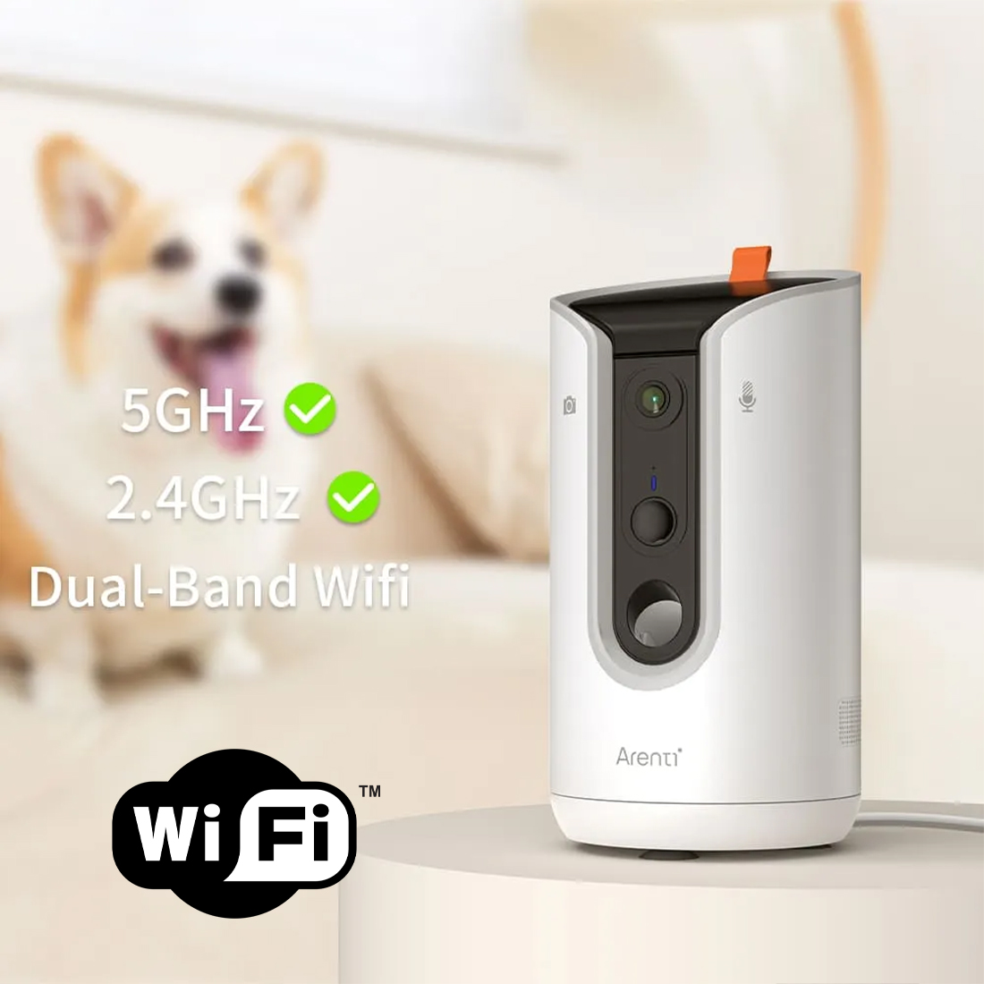 Arenti PetCam1T – obsługa w aplikacji Arenti z podglądem na żywo i kontrolą kamery