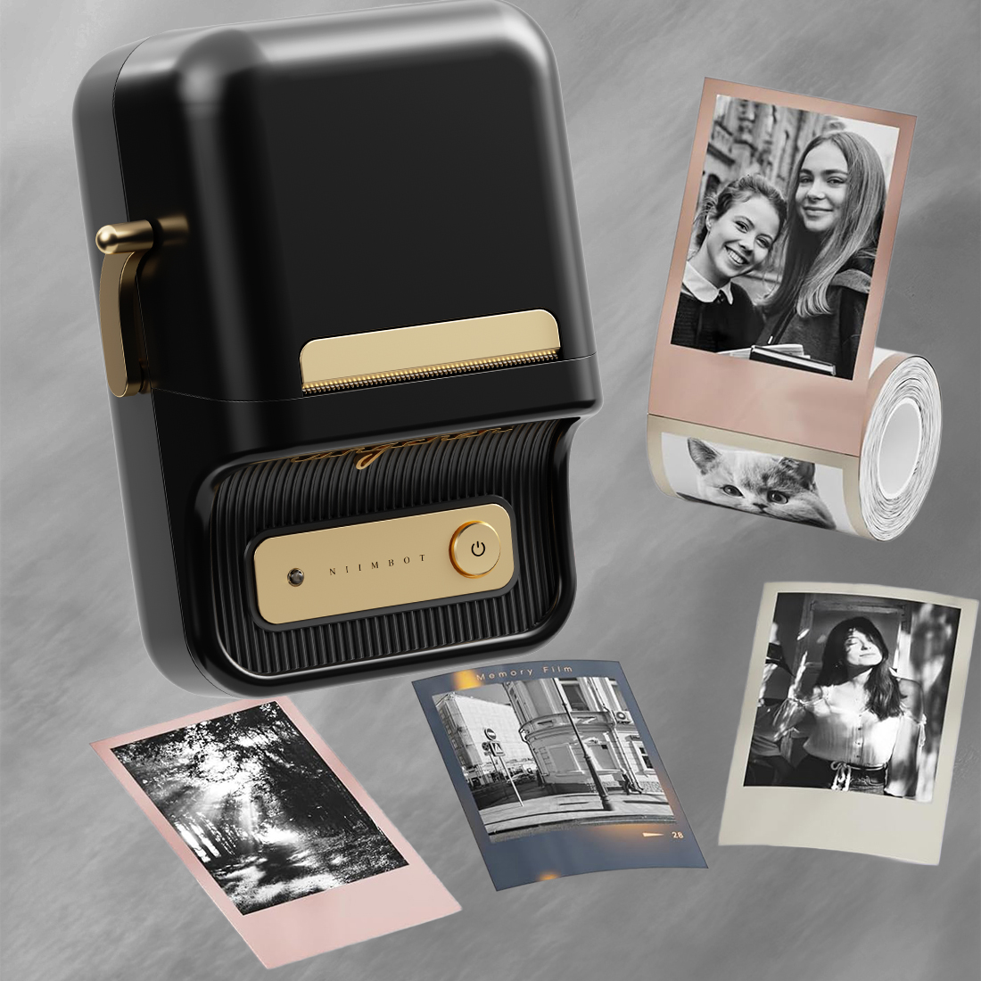 Niimbot B21 Pro funkcje