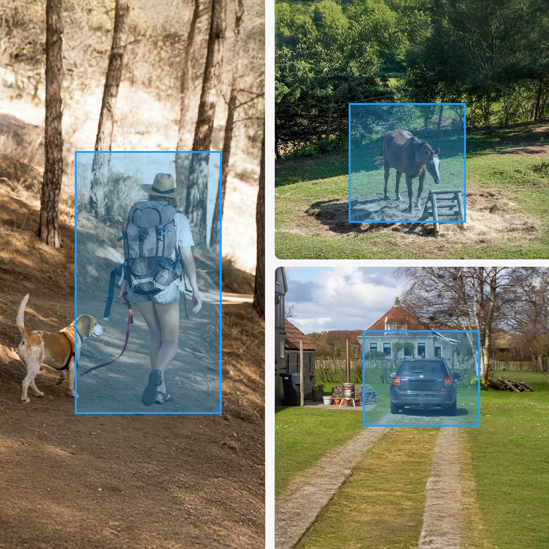 reolink go pt plus inteligentna detekcja osob pojazdow i zwierzat ograniczenie falszywych alarmow