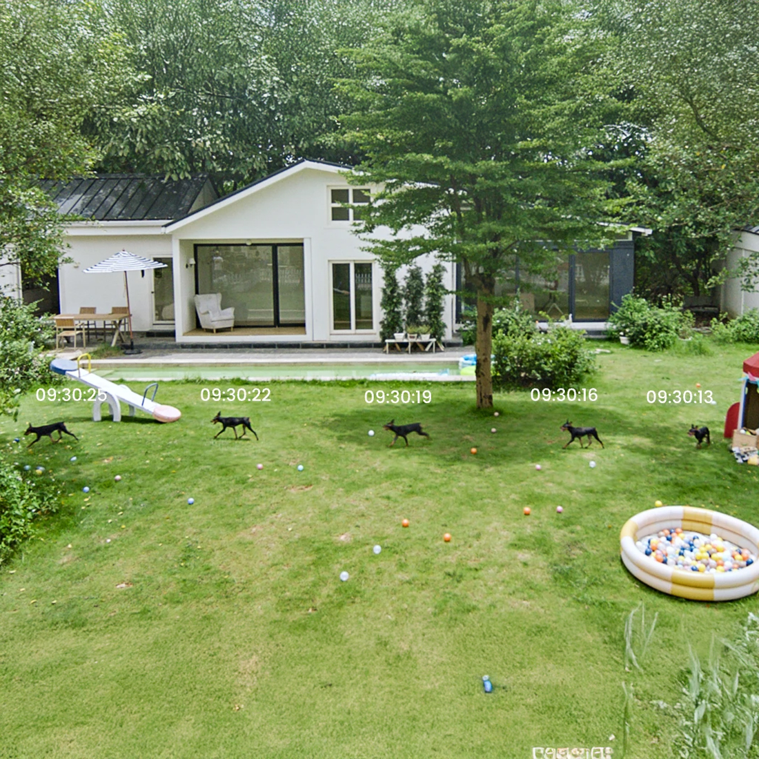 Reolink Elite Pro Floodlight PoE Motion Track – podsumowanie 15 sekund ruchu w jednym obrazie