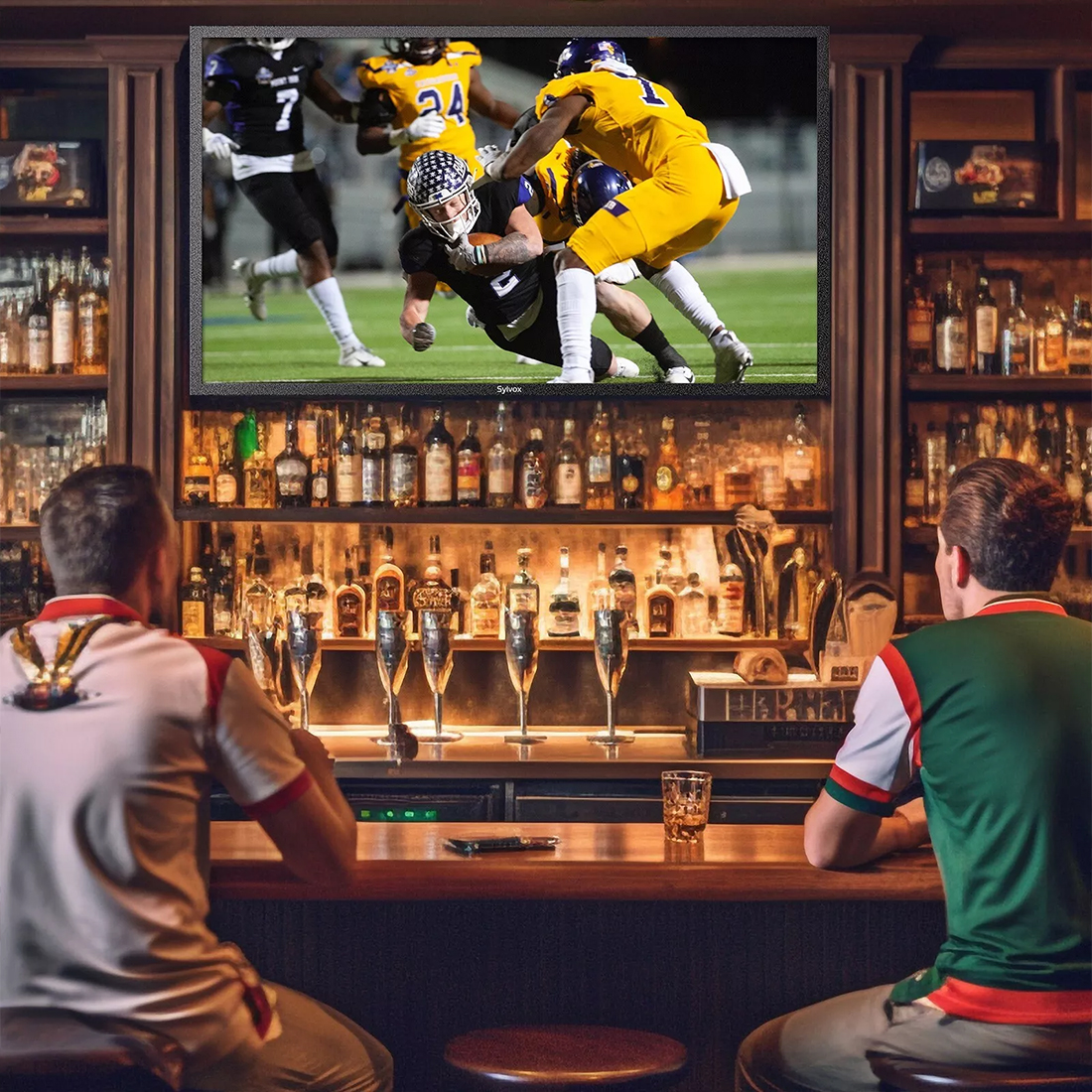 smart tv netflix google play outdoor