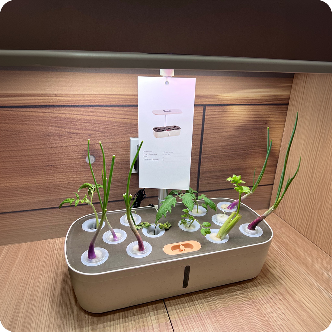 Smart garden