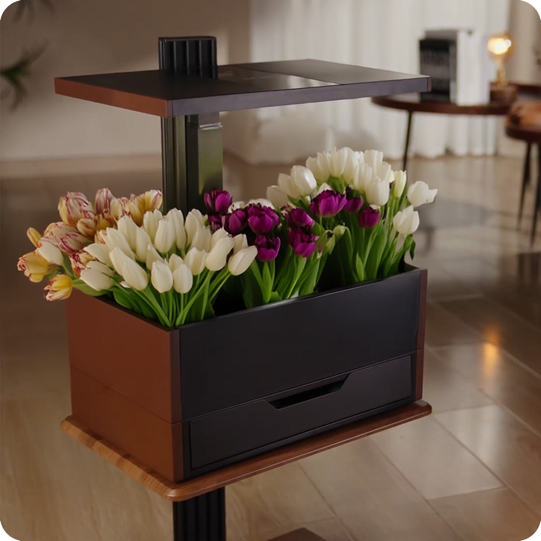 Smart garden