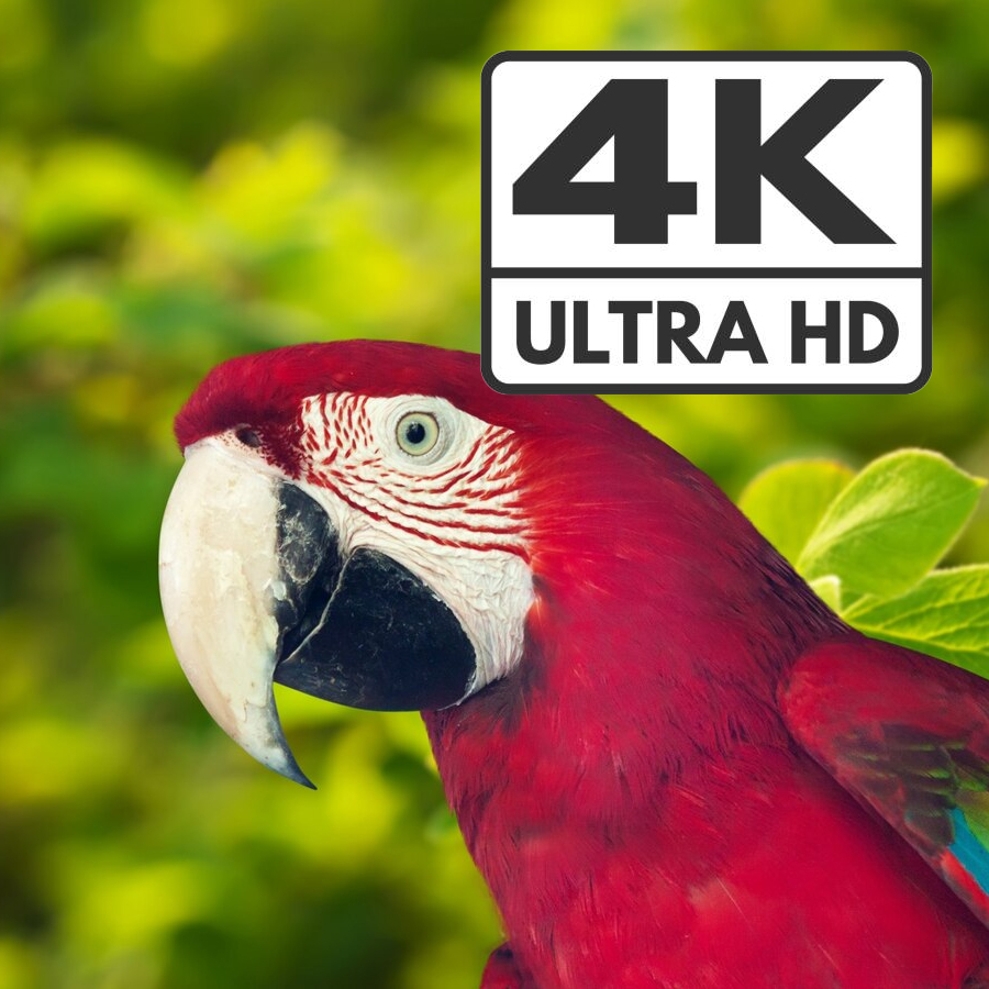grabber wideo HDMI USB-C, przechwytywanie wideo 4K, grabber do streamingu, nagrywanie HDMI na USB-C, adapter HDMI do USB-C, przechwytywanie obrazu Full HD, grabber do konsoli, karta przechwytująca HDMI